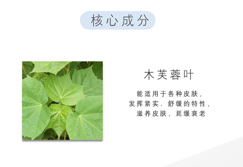 圣迪妮尔芙蓉霜50g成分