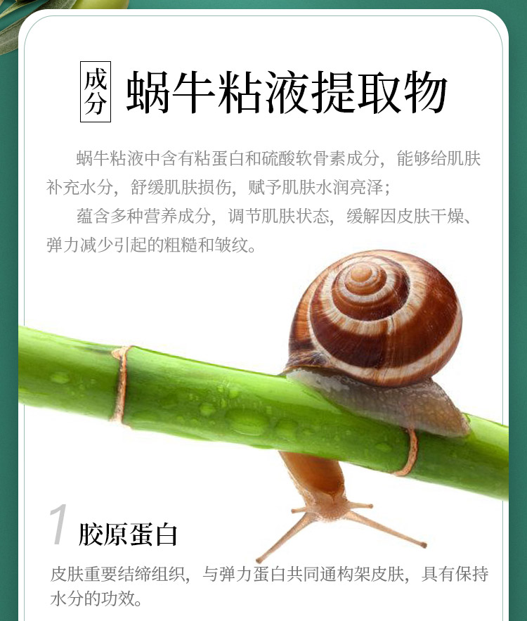 伊蓓诺蜗牛抗皱紧致系列3件套成分